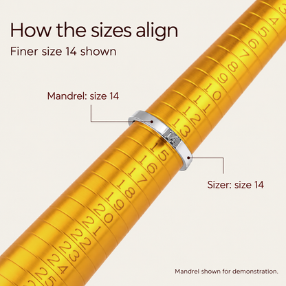 Finer size 14 sizer shown on a sizing mandrel for demonstration